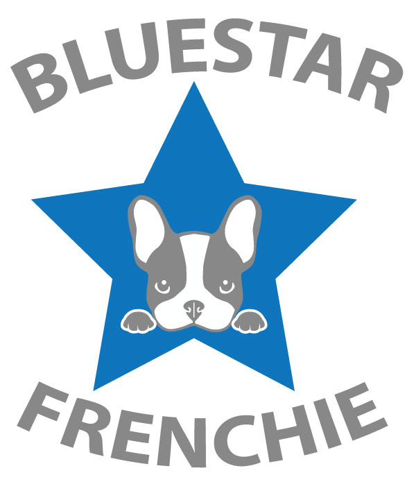 BLUESTAR-FRENCHIE